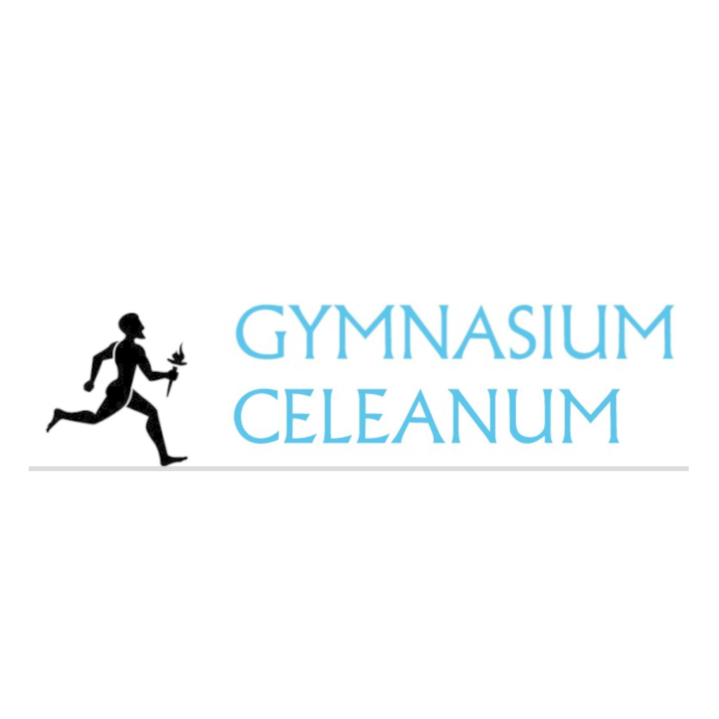 Gymnasium Celeanum